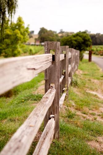 Fergusson Winery Homestead Accomodation - Accommodation Redcliffe 6