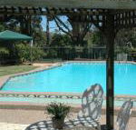The Tree Motel - Accommodation Redcliffe