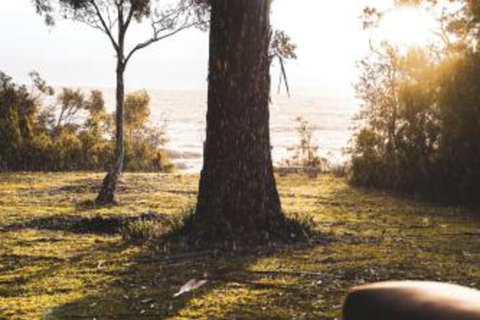 Seagrass On Sunset Bay - Accommodation Redcliffe 1