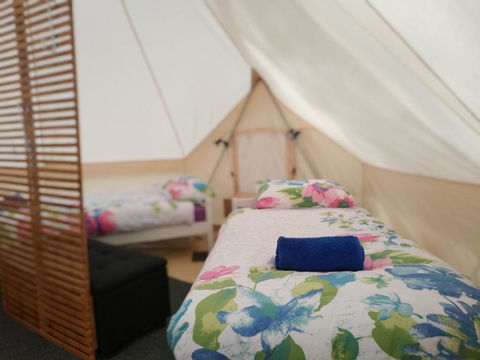 Glamping At Zeehan Bush Camp - Accommodation Redcliffe 6