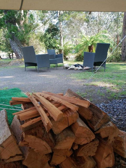 Glamping At Zeehan Bush Camp - Accommodation Redcliffe 5