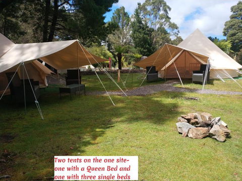 Glamping At Zeehan Bush Camp - Accommodation Redcliffe 2