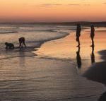 Cromarty Cottage 900m from Birubi Beach - Accommodation Redcliffe