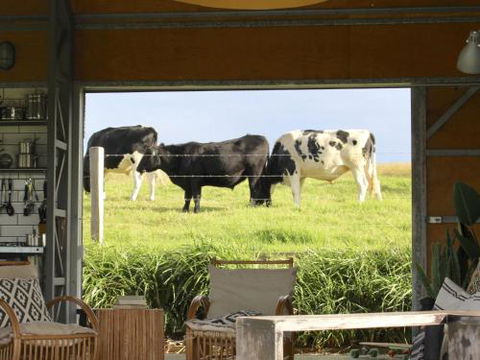 THE SHED Gerroa 4pm Checkout On Sundays & Public Holidays - Accommodation Redcliffe 6