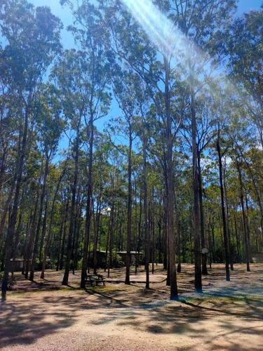 Lakes Entrance Log Cabins - Accommodation Redcliffe 1