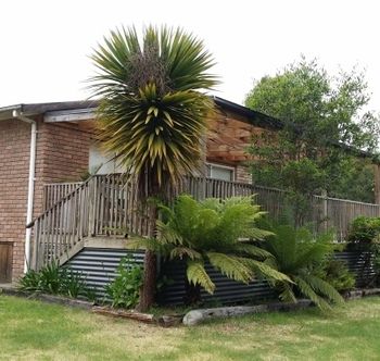 Strahan Holidays - Accommodation Redcliffe 4