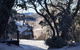 Gran Sasso 3 - thumb 3