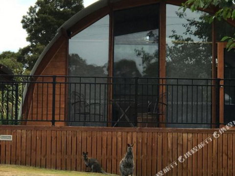 Bruny Island Accommodation 43 Degrees Beachside Studio Spa Apartments (1) - Accommodation Redcliffe 1