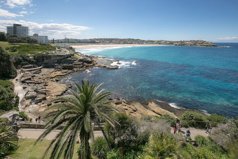 Ultimate Bondi Escape - Accommodation Redcliffe 4
