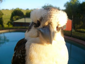 Belle La Vie B & B - Accommodation Redcliffe 3