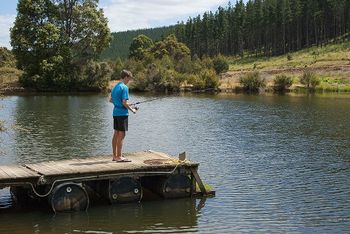 Nannup Valley Chalets - Accommodation Redcliffe 1