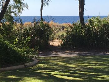 On The Shores Of Geographe Bay - Accommodation Redcliffe 5