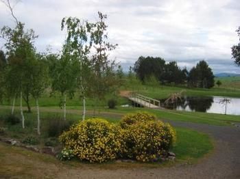 Buttercup Cottage & Private Apartment - Accommodation Redcliffe 3
