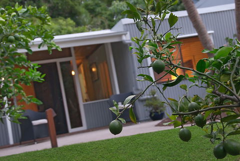Gecko Shed - Accommodation Redcliffe 6
