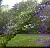 Petersons Armidale Winery  Guesthouse - Accommodation Redcliffe