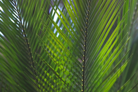 The Jackson Ranch - Accommodation Redcliffe 2