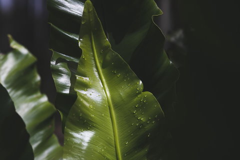 The Jackson Ranch - Accommodation Redcliffe 1