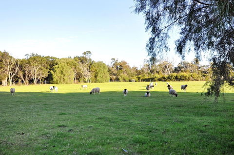 Tree Elle - Accommodation Redcliffe 6