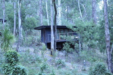 Qdos Arts - Accommodation Redcliffe 6