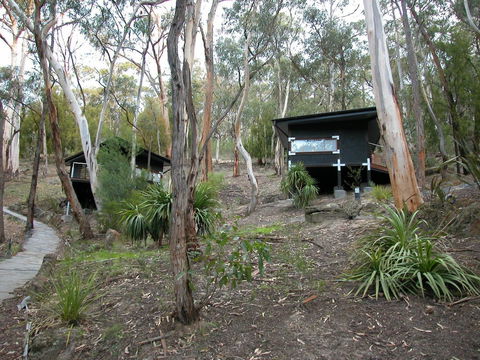 Qdos Arts - Accommodation Redcliffe 2