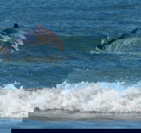 Summerhills Retreat Byron Bay - Accommodation Redcliffe