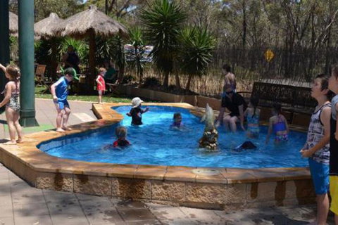 Bendigo Bush Cabins - Accommodation Redcliffe 2