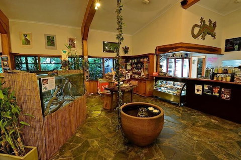 Lync Haven Rain Forest Retreat - Accommodation Redcliffe 0