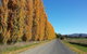 Harriet House Tumut - thumb 1