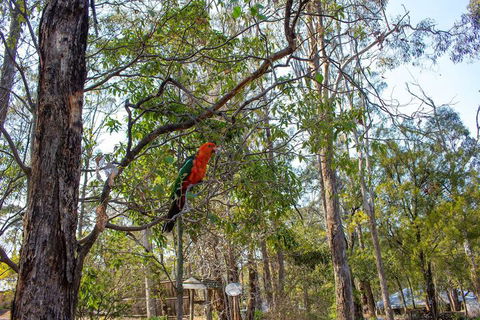 Kalimna Woods Cottages - Accommodation Redcliffe 2