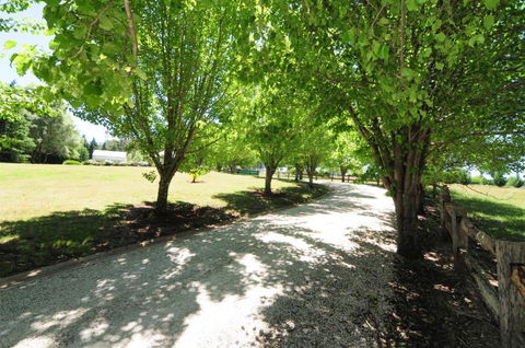 Daisy Cottage - Accommodation Redcliffe 7