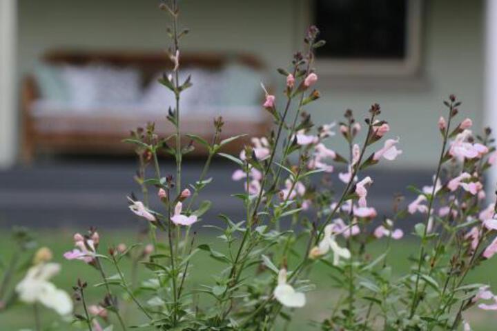 Allynbrook ACT Accommodation Redcliffe