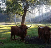Dingley Dell - Accommodation Redcliffe