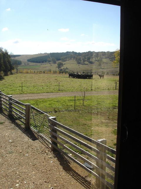 Black Sheep Inn - Accommodation Redcliffe 3