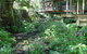 Treetops Accommodation Montville - thumb 4
