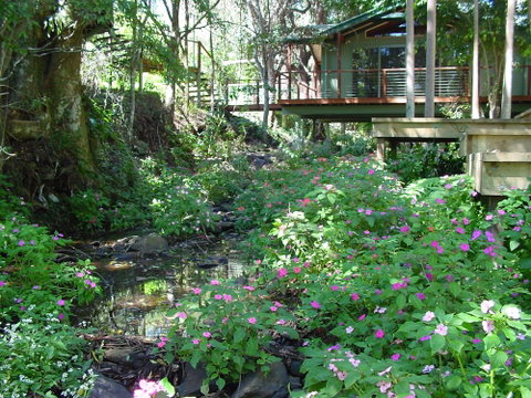 Treetops Accommodation Montville - Accommodation Redcliffe 4
