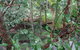 Treetops Accommodation Montville - thumb 5