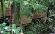 Treetops Accommodation Montville - thumb 1