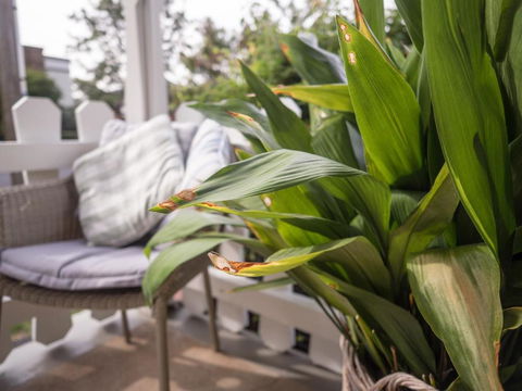 Cottage 79 - Accommodation Redcliffe 5