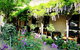 CocknBull Boutique Hotel - thumb 2
