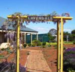 Lavendale Farmstay  Cottages York - Accommodation Redcliffe