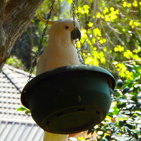 Bowral Road Bed And Breakfast - Accommodation Redcliffe 1