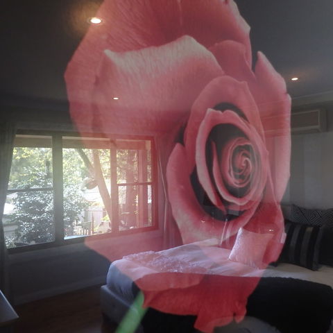 Bowral Road Bed And Breakfast - Accommodation Redcliffe 5