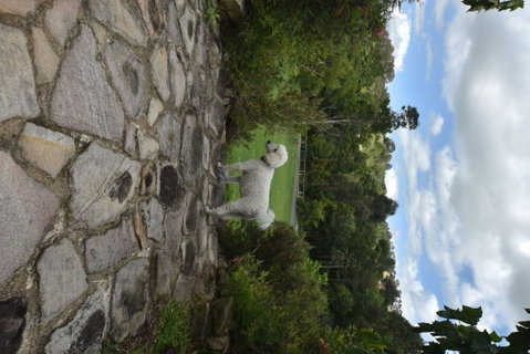Coverdales B & B At Eumundi - Accommodation Redcliffe 0