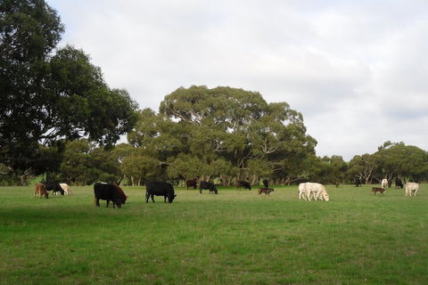 Wenton Farm Holiday Cottages - Accommodation Redcliffe 4