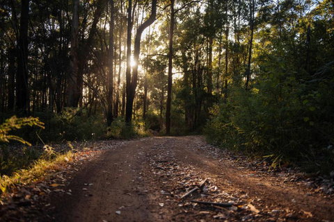 Mudstone Spa Retreat - Accommodation Redcliffe 5