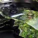 Mudstone Spa Retreat - Accommodation Redcliffe 1