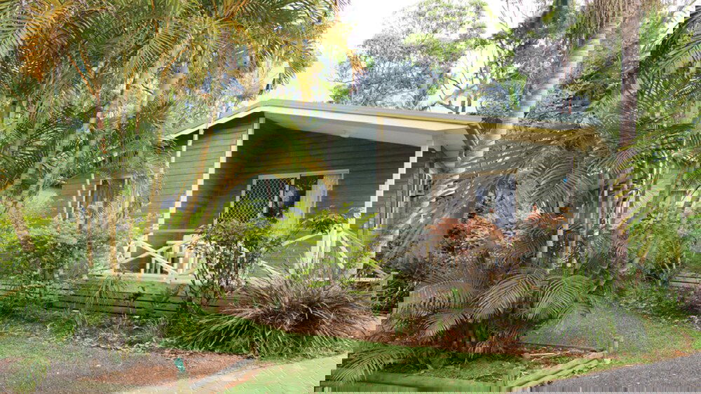 Arrawarra NSW Accommodation Redcliffe