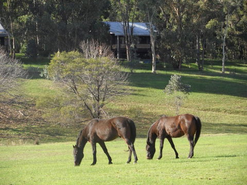 Balinga Cottages - Accommodation Redcliffe 1