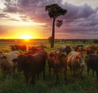 Myella Farm Stay - Accommodation Redcliffe
