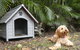 CHILL OUT BEACH HOUSE At FORSTER - thumb 3